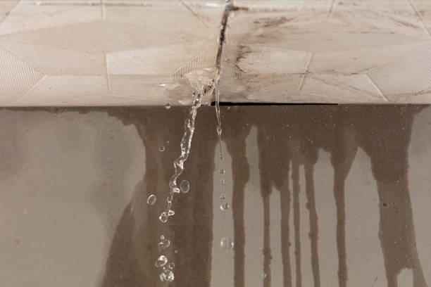 Professional Structural Drying technician working in Laurel, IN